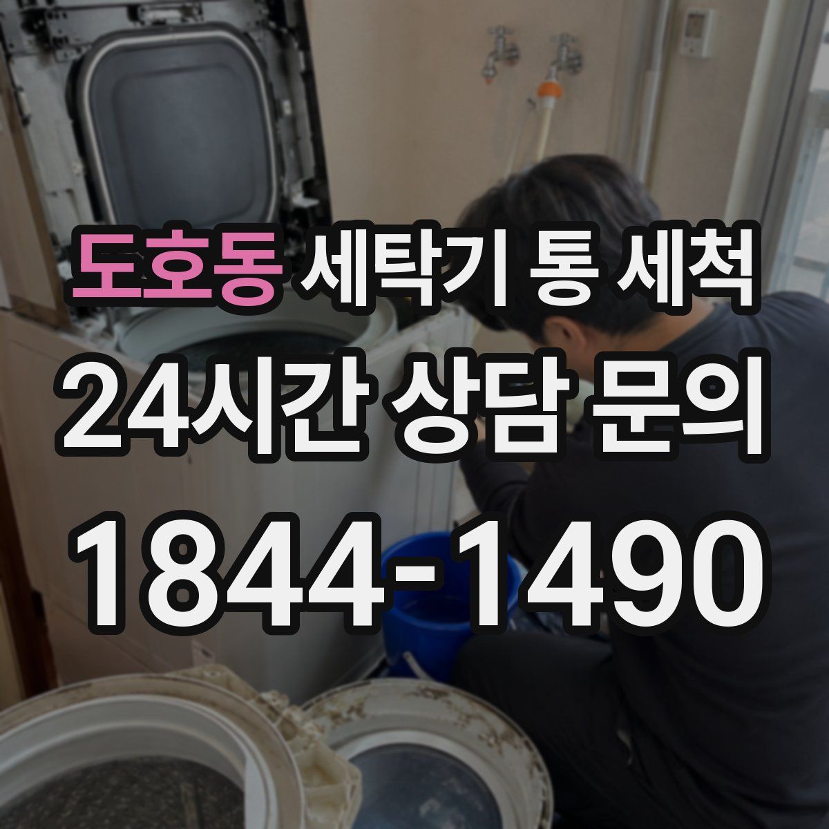 도호동 세탁기 통 세척