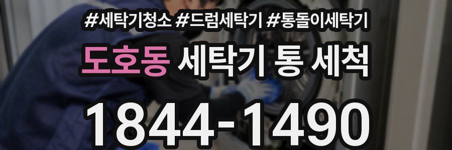 도호동 세탁기 통 세척