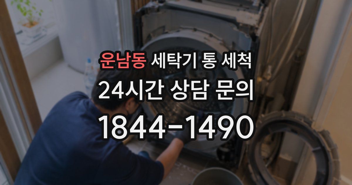 운남동 세탁기 통 세척