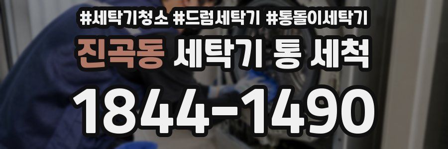 진곡동 세탁기 통 세척