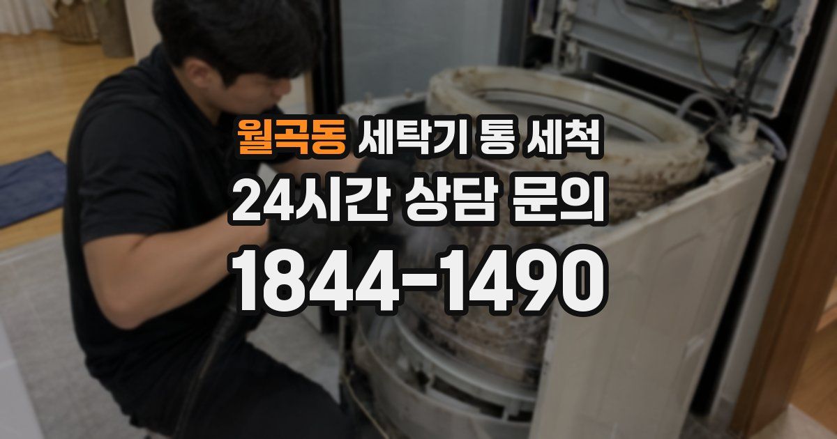 월곡동 세탁기 통 세척