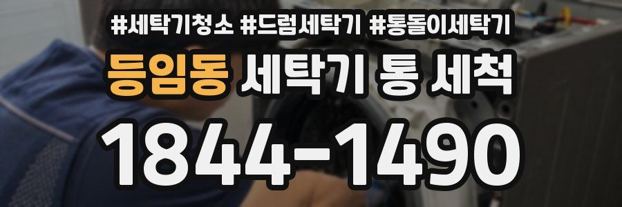 등임동 세탁기 통 세척