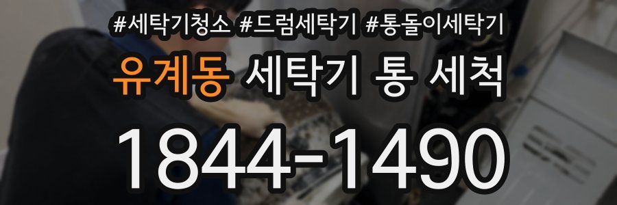유계동 세탁기 통 세척