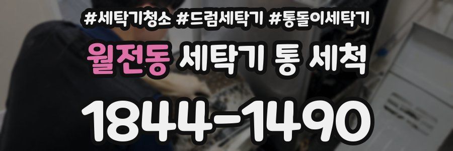월전동 세탁기 통 세척