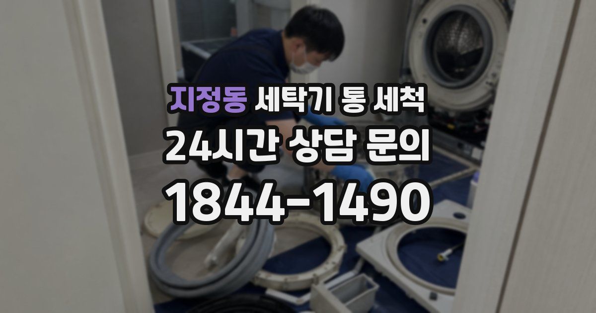 지정동 세탁기 통 세척