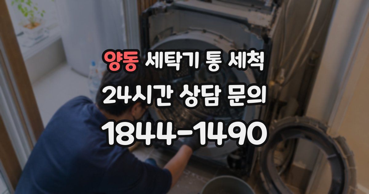 양동 세탁기 통 세척