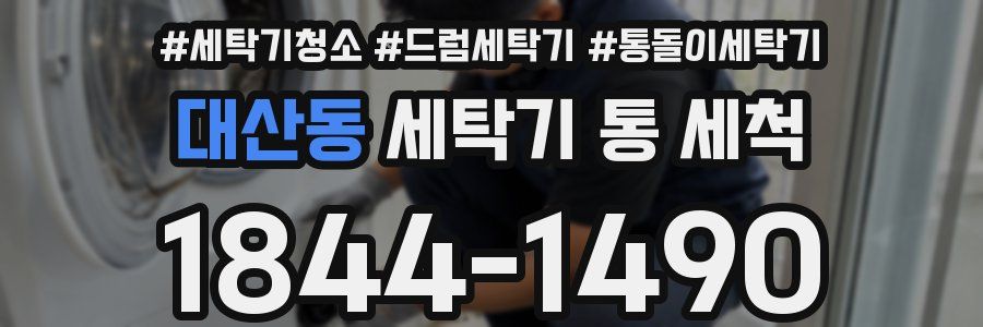 대산동 세탁기 통 세척