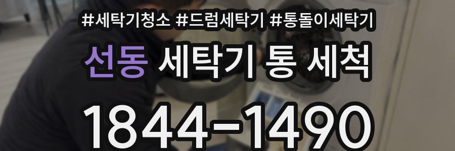선동 세탁기 통 세척