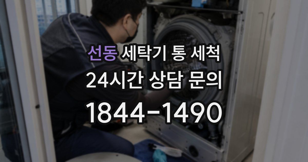 선동 세탁기 통 세척