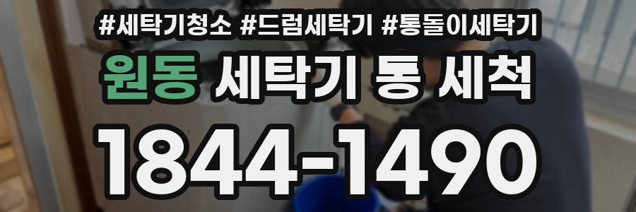 원동 세탁기 통 세척