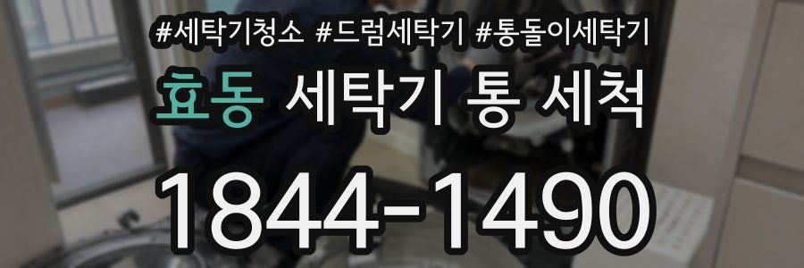 효동 세탁기 통 세척