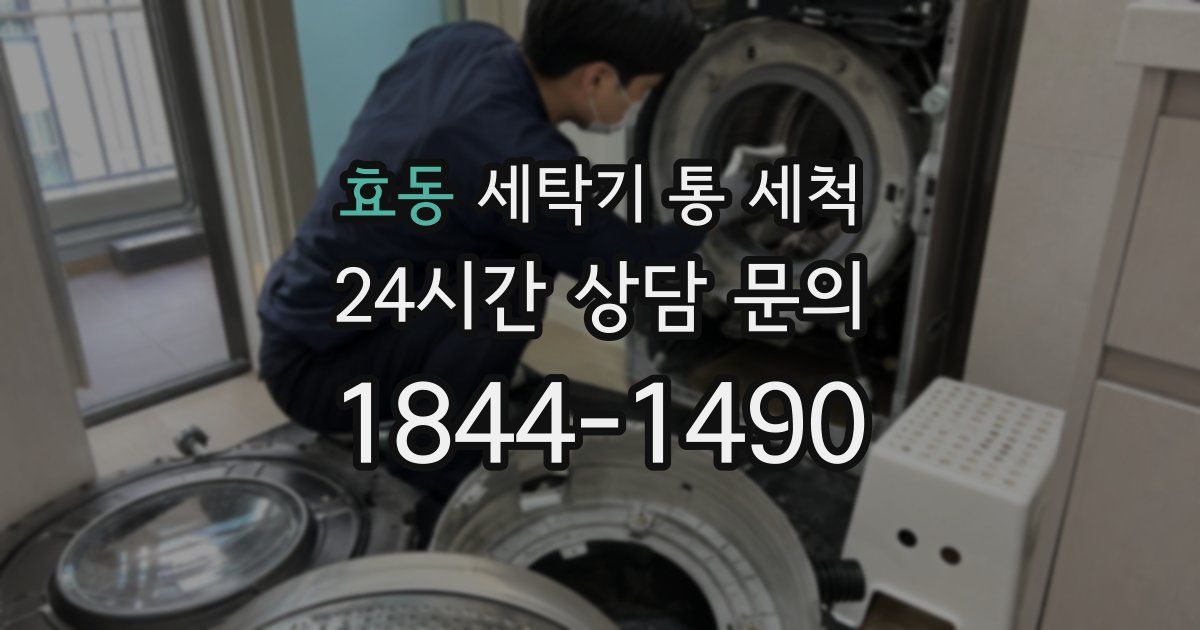효동 세탁기 통 세척