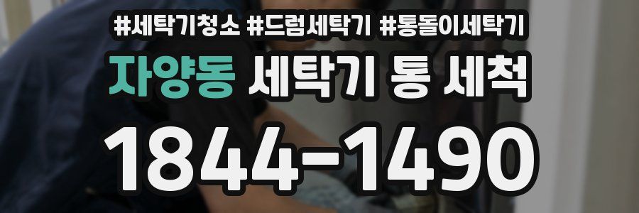자양동 세탁기 통 세척