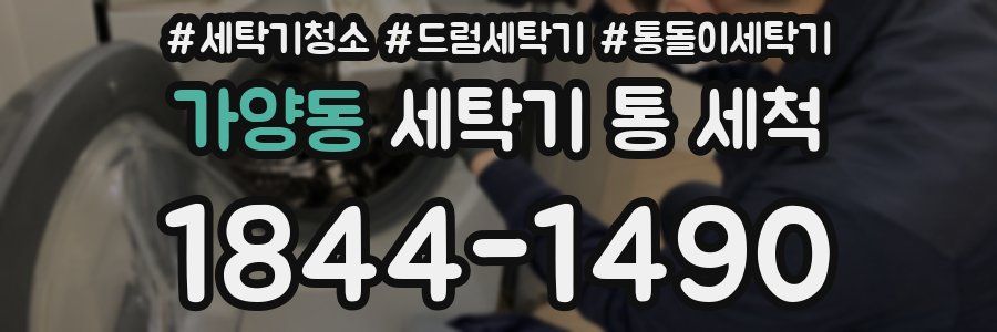 가양동 세탁기 통 세척