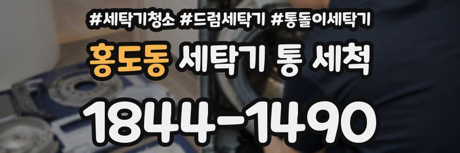 홍도동 세탁기 통 세척