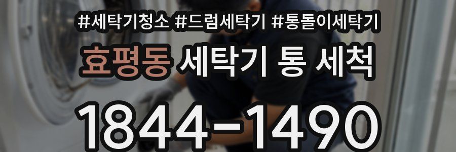 효평동 세탁기 통 세척