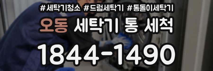 오동 세탁기 통 세척