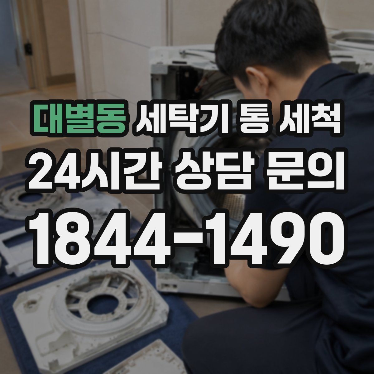 대별동 세탁기 통 세척