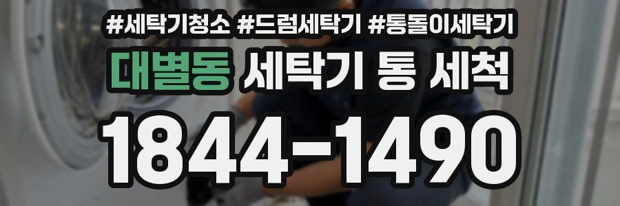 대별동 세탁기 통 세척