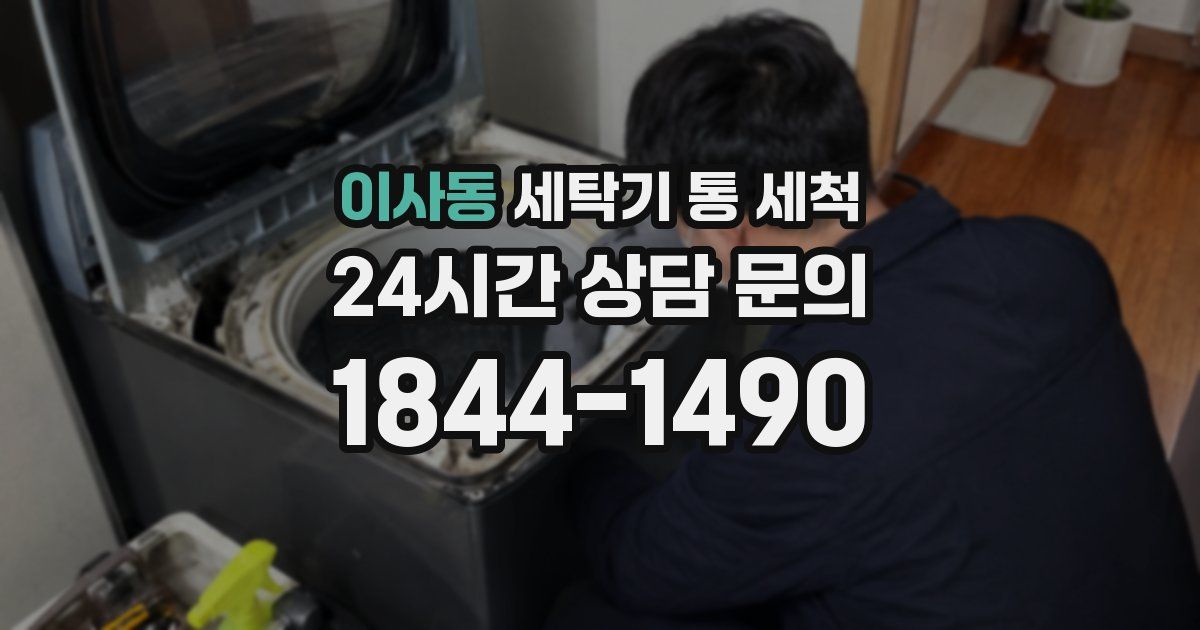 이사동 세탁기 통 세척