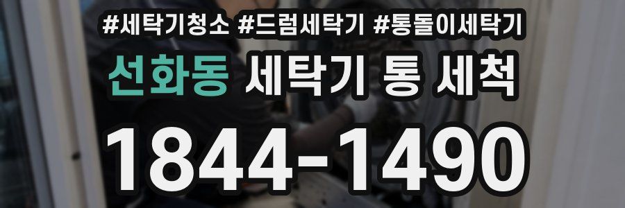 선화동 세탁기 통 세척