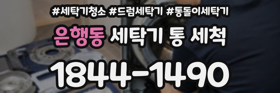 은행동 세탁기 통 세척