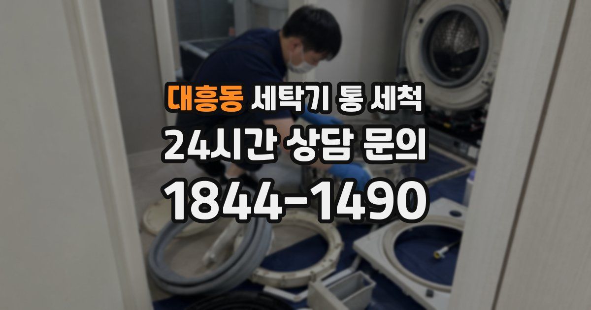 대흥동 세탁기 통 세척