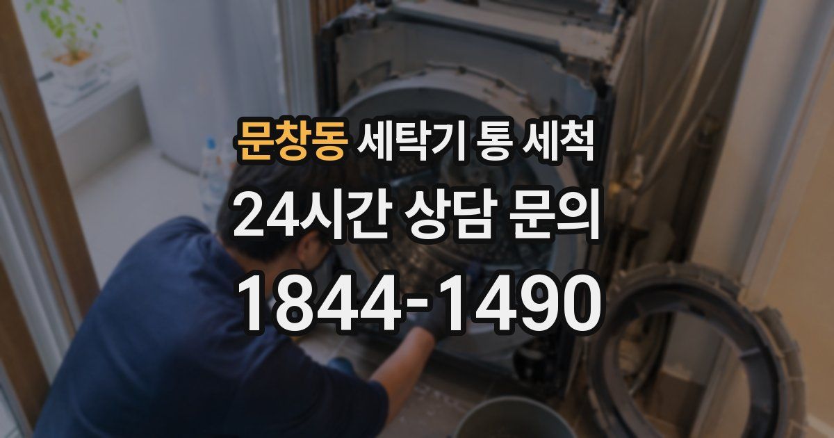 문창동 세탁기 통 세척