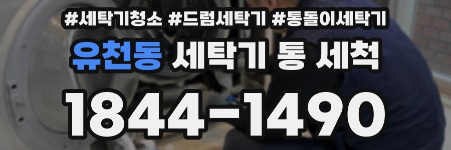 유천동 세탁기 통 세척