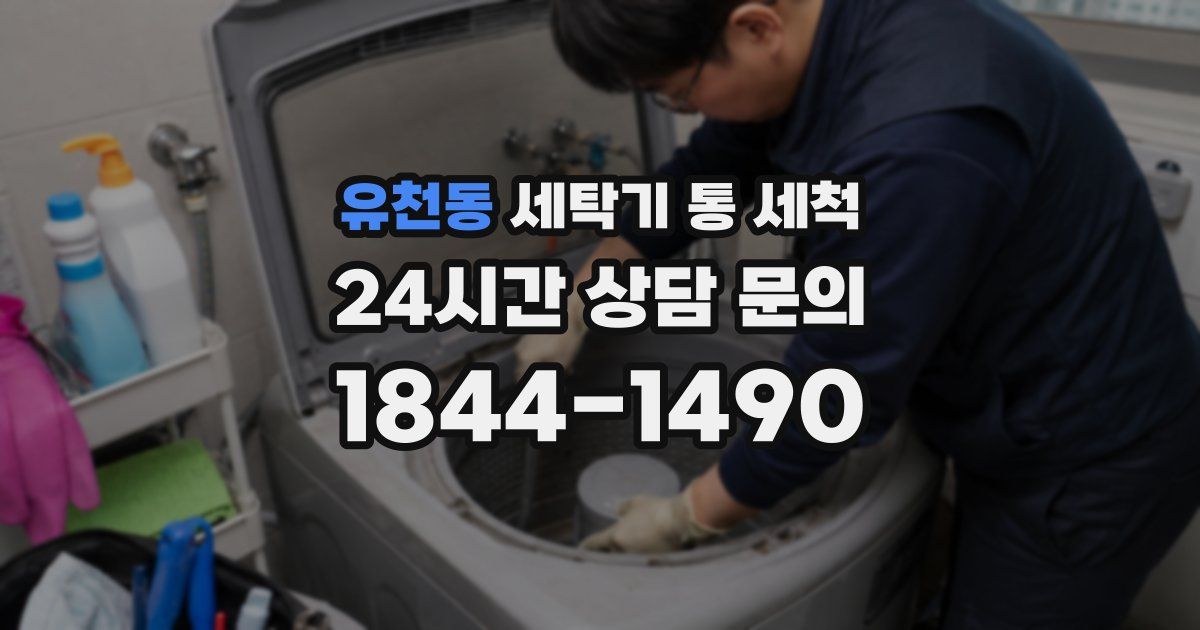 유천동 세탁기 통 세척