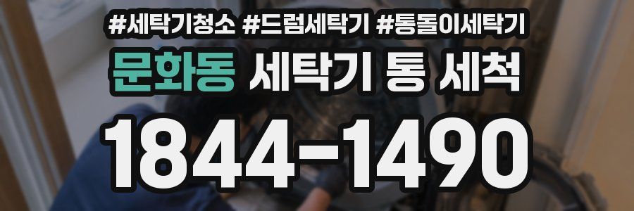문화동 세탁기 통 세척