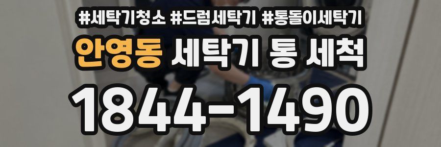 안영동 세탁기 통 세척