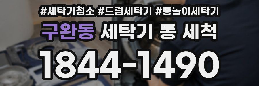 구완동 세탁기 통 세척
