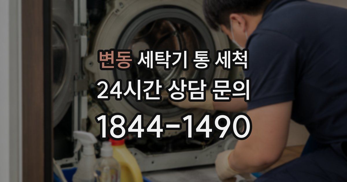 변동 세탁기 통 세척