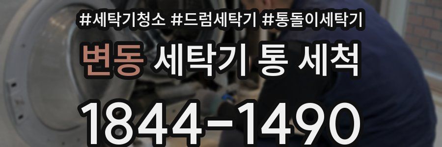 변동 세탁기 통 세척