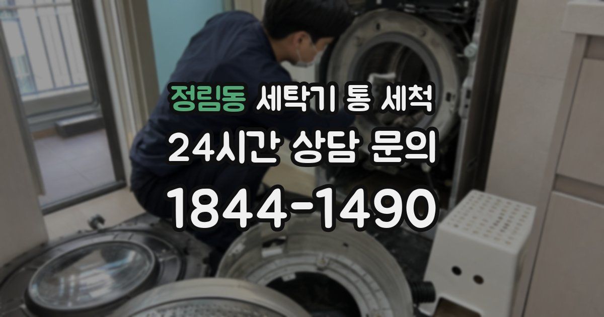 정림동 세탁기 통 세척