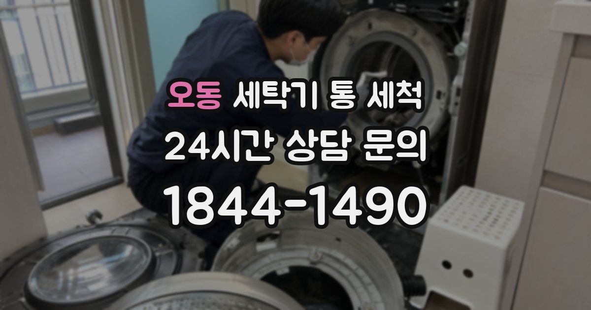 오동 세탁기 통 세척
