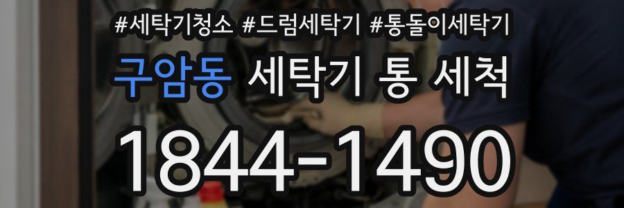 구암동 세탁기 통 세척