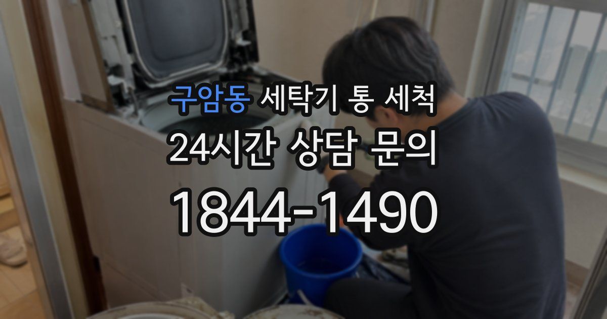 구암동 세탁기 통 세척