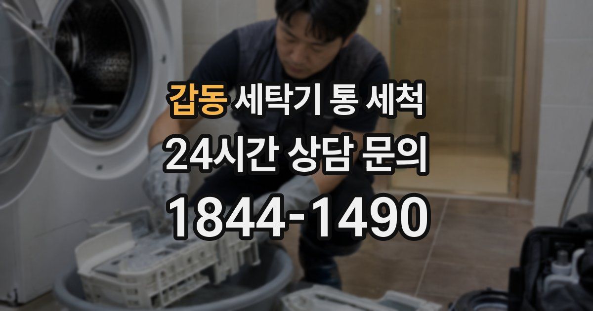 갑동 세탁기 통 세척