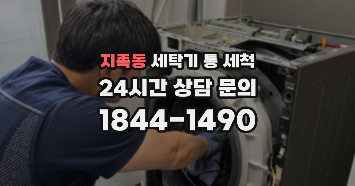 지족동 세탁기 통 세척