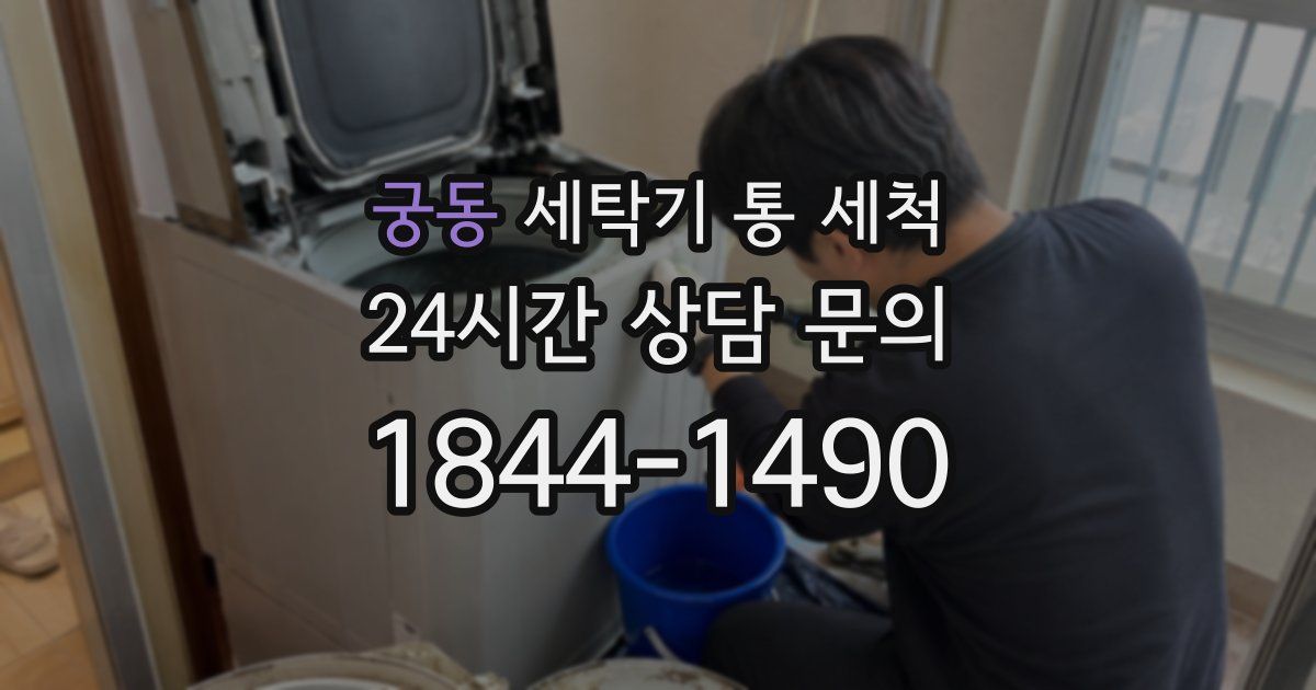 궁동 세탁기 통 세척