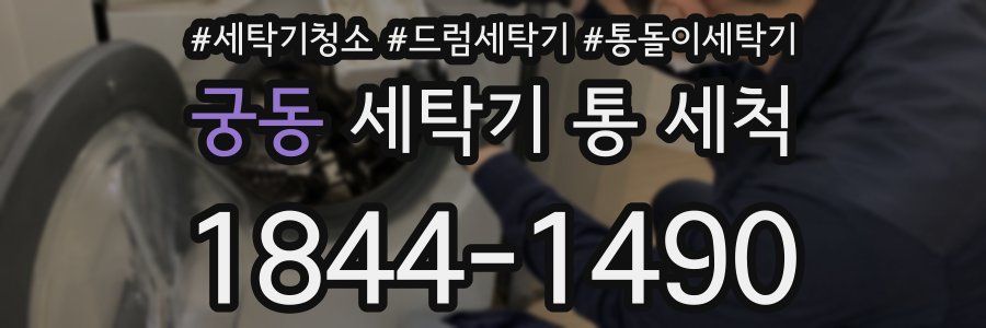궁동 세탁기 통 세척