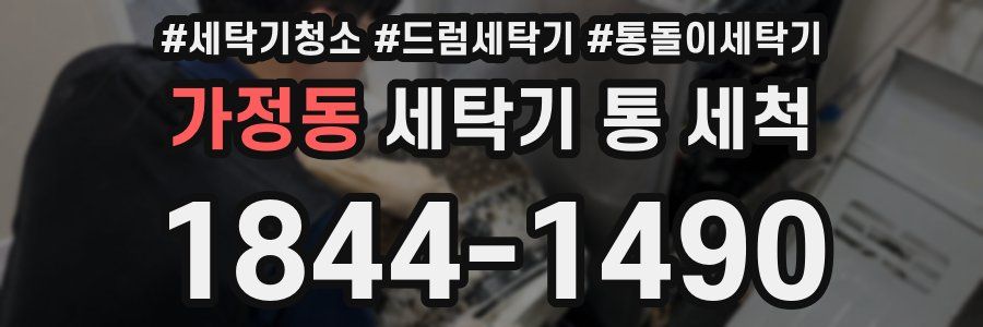 가정동 세탁기 통 세척