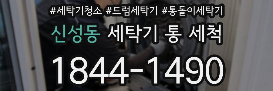 신성동 세탁기 통 세척