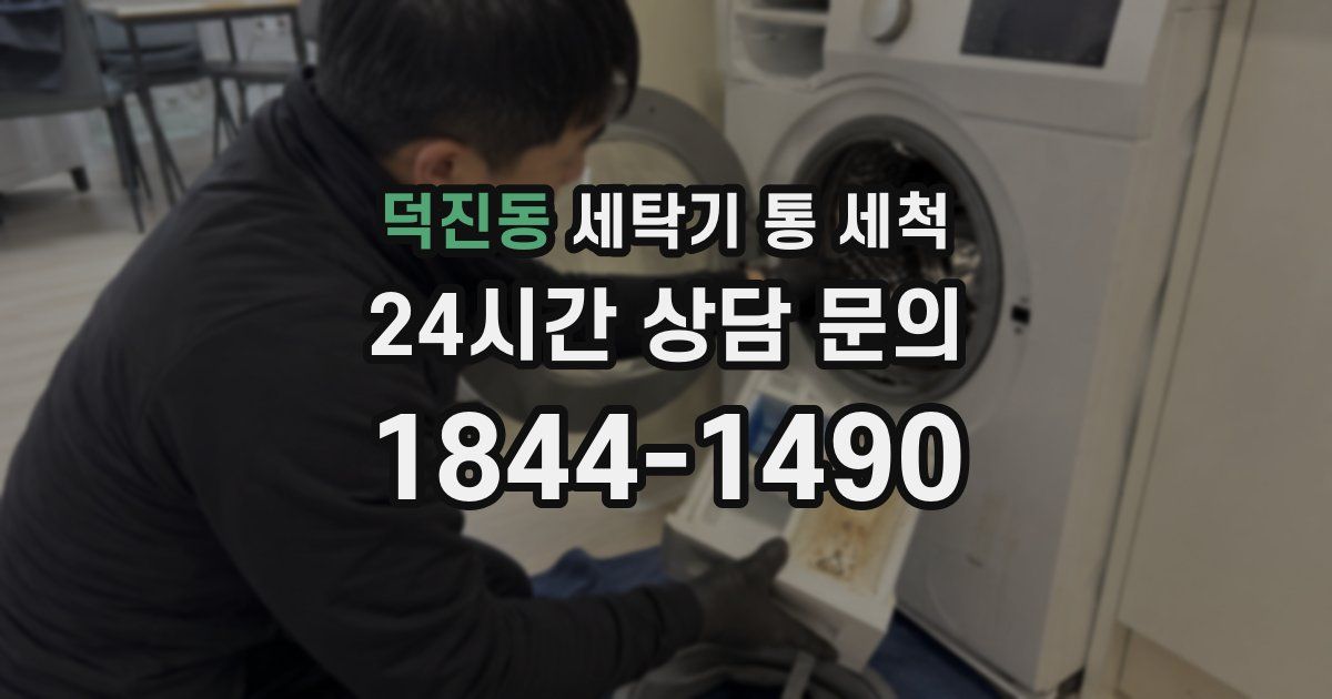 덕진동 세탁기 통 세척