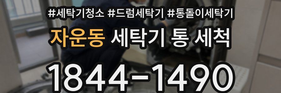 자운동 세탁기 통 세척
