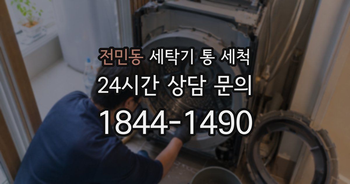 전민동 세탁기 통 세척