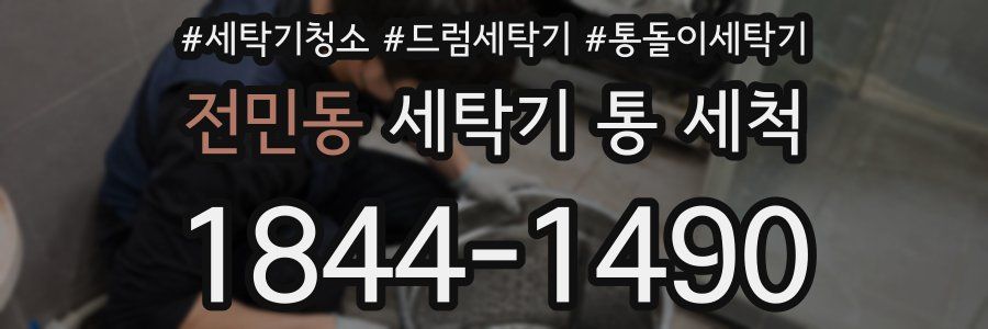 전민동 세탁기 통 세척