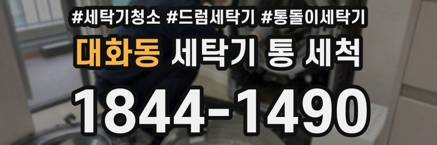 대화동 세탁기 통 세척